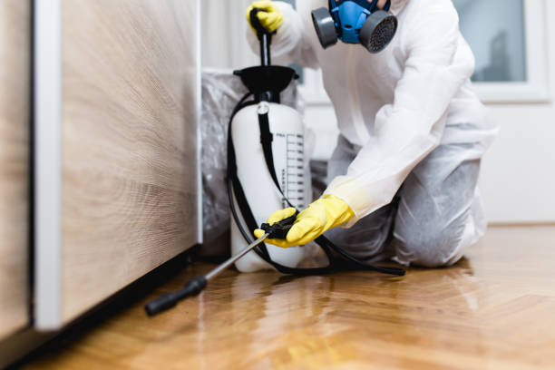 Pest Prevention Services in Filer, ID