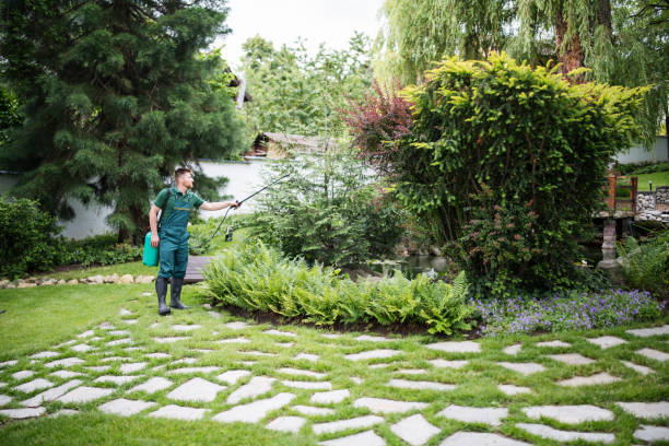 Best Pest Control for Businesses  in Filer, ID
