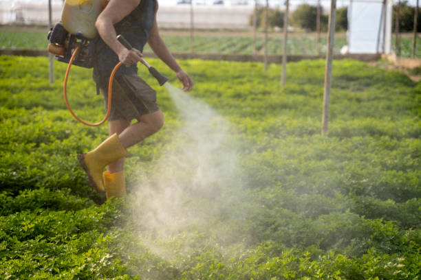 Professional Pest Control in Filer, ID