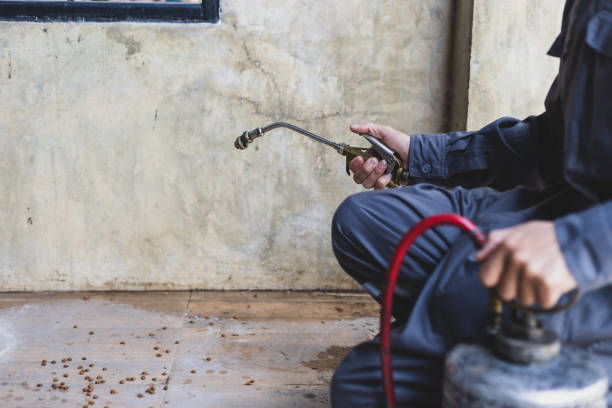 Best Flea Control Services  in Filer, ID